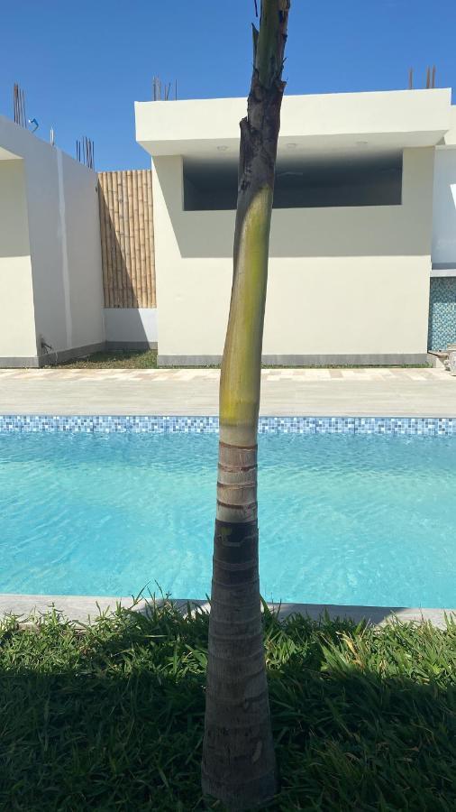 Riviera Vichayito